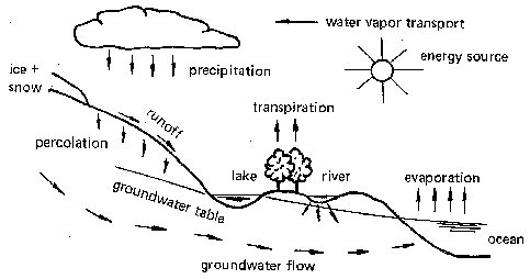 Free Vector | Hand drawn water cycle illustraation