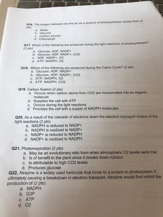 Solved 016 The Oxygen Released Into The Air As A Product Chegg Com