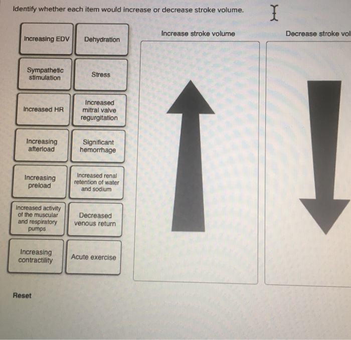 Solved Identify whether each item would increase or decrease 