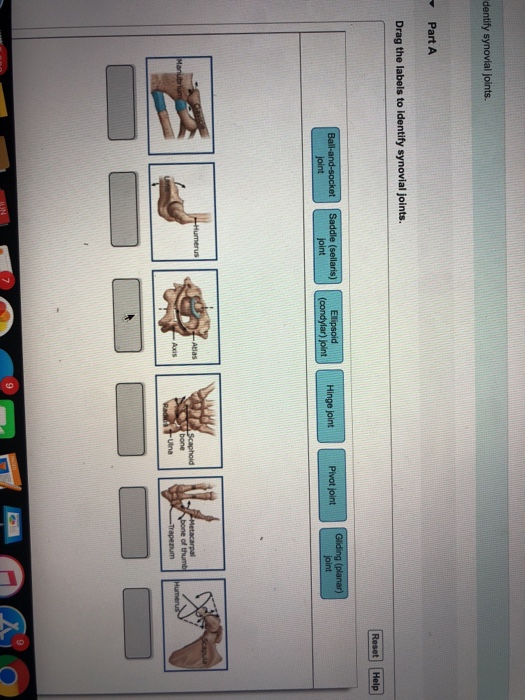 Solved: Part A Drag The Labels To Identify Synovial Joints ...