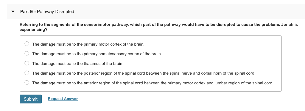 Solved Part B Spinal Cord Regions Emergency Room Doctors