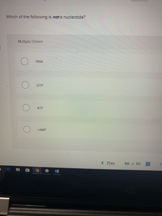 Solved Which Of The Following Is Not A Nucleotide? Multiple | Chegg.com Solved Which Of The Following Is Not A Nucleotide? Multiple | Chegg.com