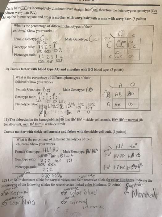 Solved Urly Hair Cc Is Incompletely Dominant Over Strmi