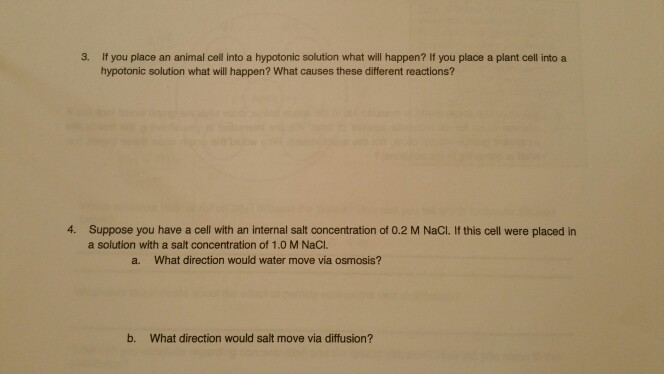 3 If You Place An Animal Cell Into A Hypotonic Chegg Com