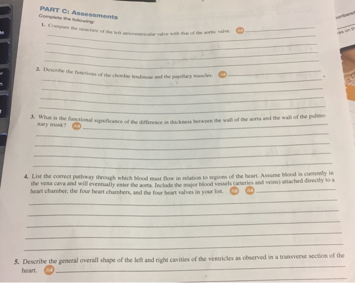 blood at thickness home test Complete Following: Solved: The Structure T The Of Compare