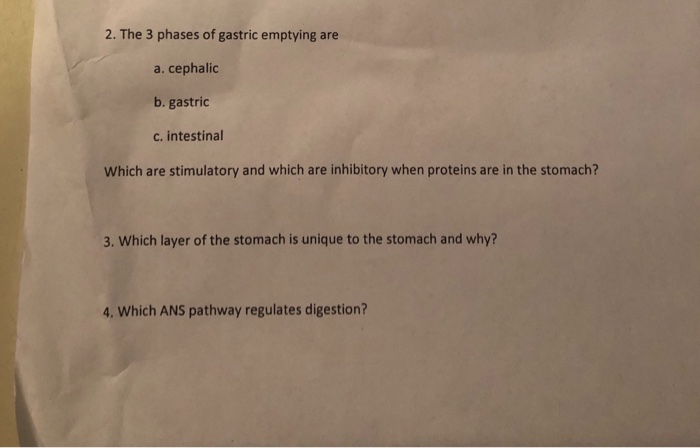2. The 3 phases of gastric emptying are a. cephalic b. gastric c. intestinal Which are stimulatory and which are inhibitory when proteins are in the stomach? 3. Which layer of the stomach is unique to the stomach and why? 4. Which ANS pathway regulates digestion?