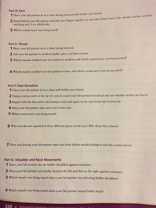 Solved Part D Ears 1 Have Your Lab Partner Sit In A Chai