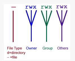 File Type Owner Group Others d-directory - file