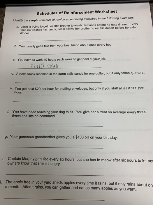 Solved Schedules of Reinforcement Worksheet ldentily the | Chegg.com