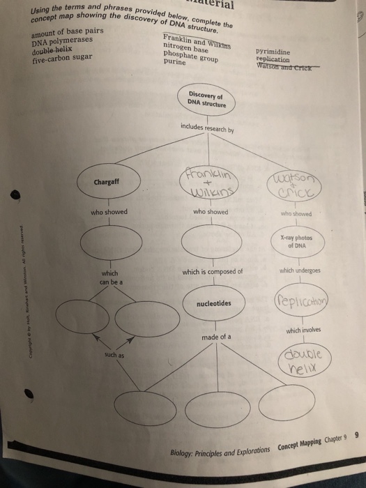 discovery of dna structure concept map answers Solved Aterial D Phrases Provided Below Complete The The discovery of dna structure concept map answers