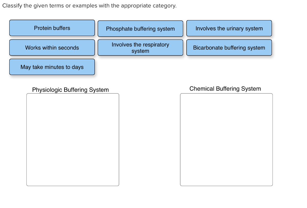 Solved Classify The Given Terms Or Examples With The Appr