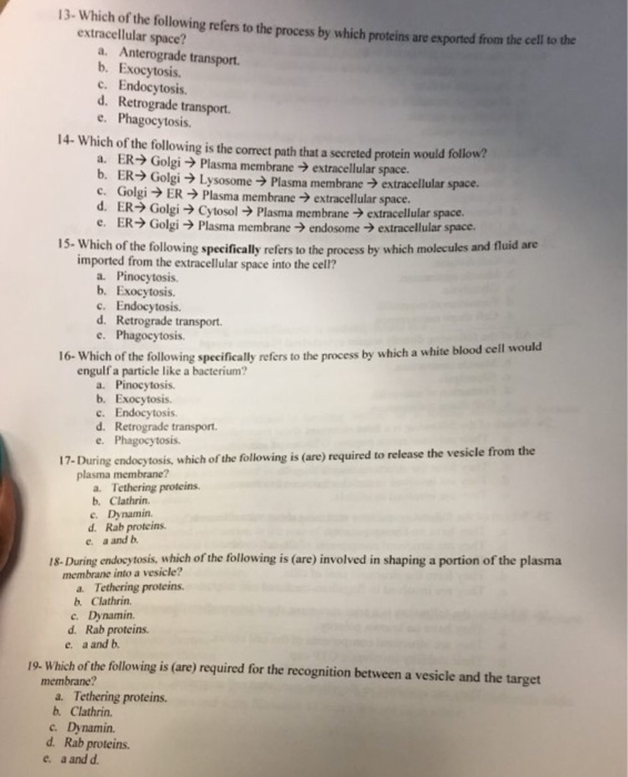 Solved 13 Which Of The Following Refers To The Process By Chegg Com