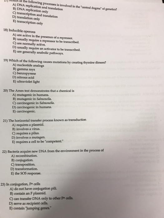 Solved B) Dna Replication Only C) Transcription And | Chegg.com