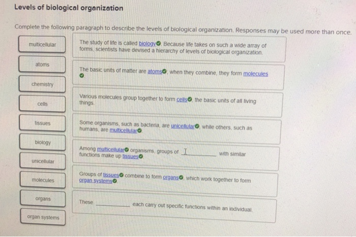 Solved Levels Of Biological Organization Complete The Fol Chegg Com