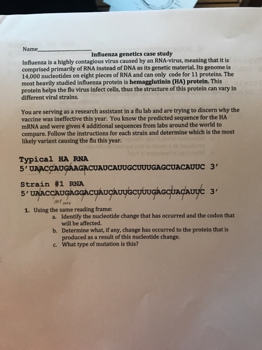 influenza research paper