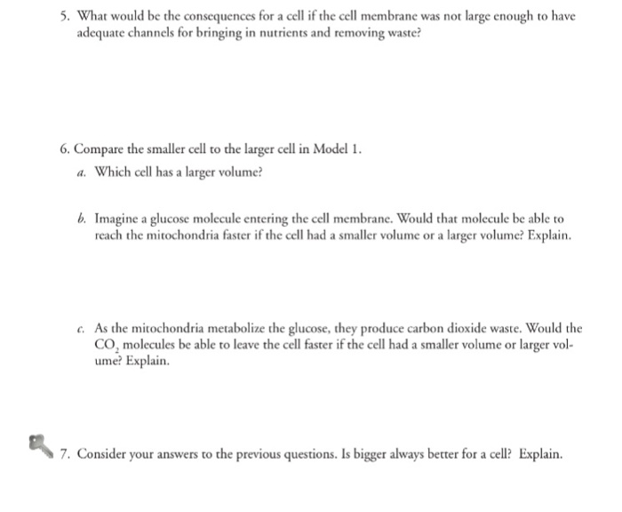 Solved 5. What would be the consequences for a cell if the | Chegg.com