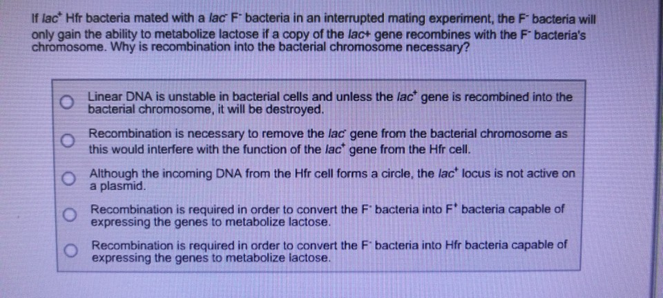 Solved If lac Hfr bacteria mated with a lac F bacteria in an 