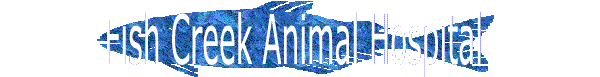 Solved Fish Creek Animal Hospital See Chapter 2 For An In