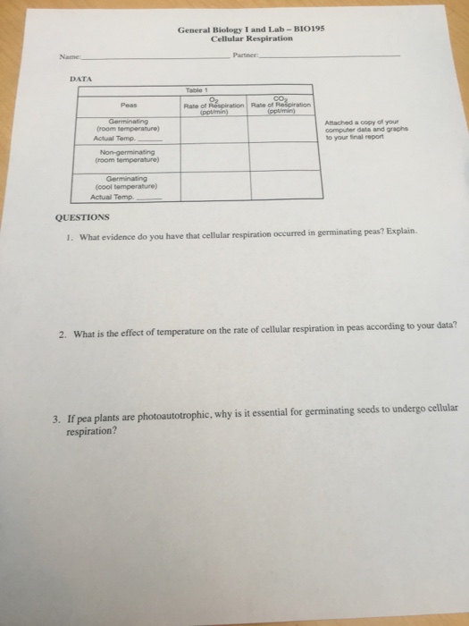 Solved What Evidence Do You Have That Cellular Respiratio Chegg Com