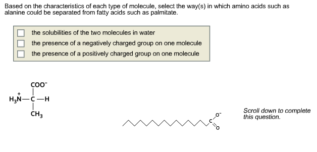 Carboxylic acid derivatives definition picture