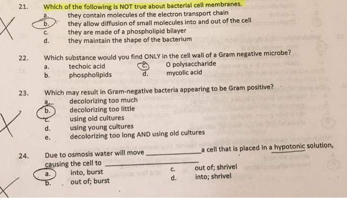 Solved 21. Which Of The Following Is Not True About | Chegg.com Solved 21. Which Of The Following Is Not True About | Chegg.com