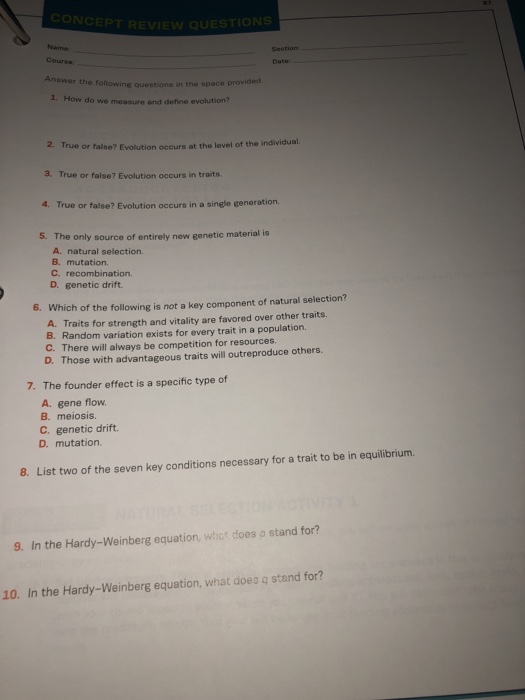 The Hardy-Weinberg Equation Pogil Answer Key - Hardy ...