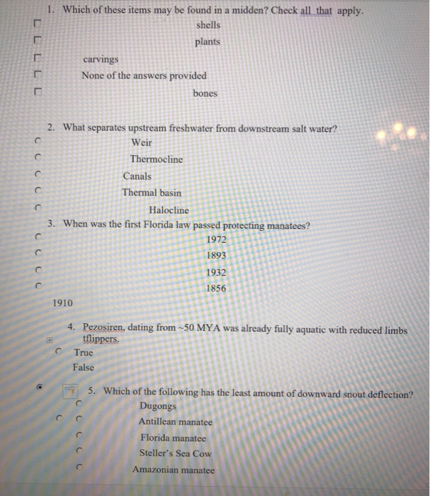 explain the importance of rocks in radiometric dating