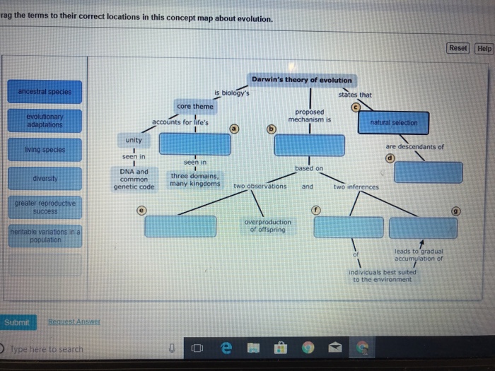 darwin theory of evolution concept map Solved Rag The Terms To Their Correct Locations In This C darwin theory of evolution concept map