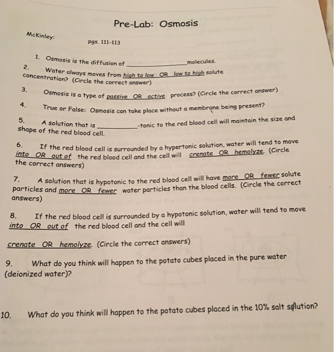 Solved: Pre-Lab: Osmosis McKinley Pgs. 111-113 1. Osmosis ...