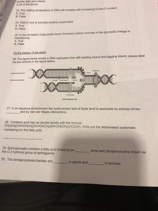 shorter fatty acid chains E.All of the above 23. The melting temperature of DNA will icreaso with increasing G plus C con A. True B. False 24. DNA in vivo is normally positive supercoiled. A. True B. False 25, In the formation of glycosidic bond, Anomeric carbon involved in the glycosidic linkage is nonreducing A. True B. False 26. The figure below shows a DNA replication fork with leading strand and lagging strand, please label the two strands in the figure below 27. In an aqueous environment the hydrocarbon tails of lipids tend to associate by entropy-driven and 

<div class=