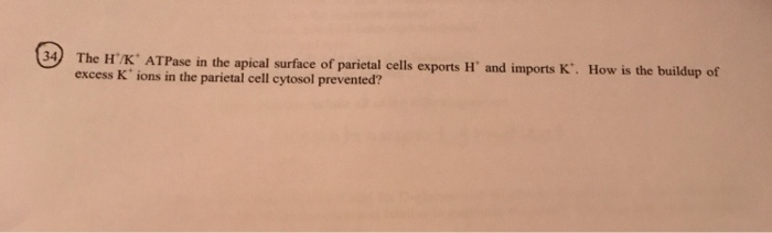 The HKATPase in the apical surface of parietal cells exports H. and imports K excess K ions in the parietal cell cytosol prevented? How is the buildup of