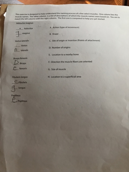 This Exercise Is Designed To Help Understand The N Chegg Com