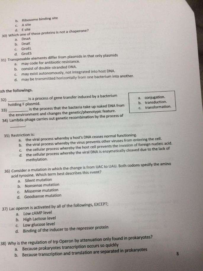 C. ... W Site E A Solved: Site Binding D. B. Site 30) Ribosome