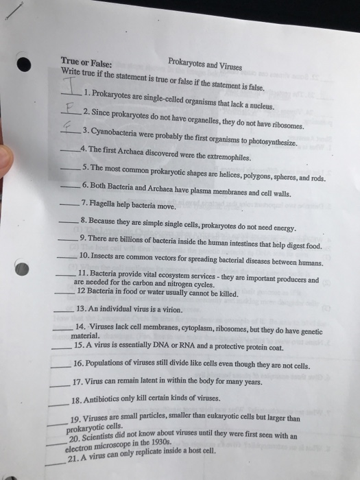 ♉ Which statement about bacteria is false