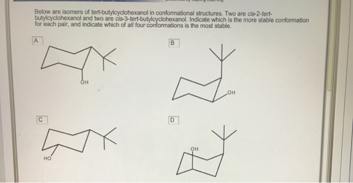 Below Are Isomers Of Tert Butylcyclohexanol In Chegg 