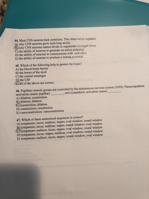 Solved 44 Most Cns Neurons Lack Centrioles This Observa Chegg Com