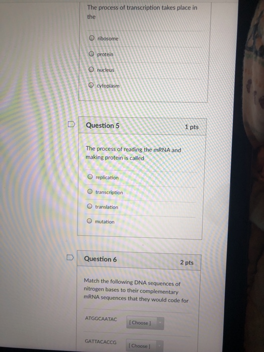 Solved The process of transcription takes place in the O | Chegg.com
