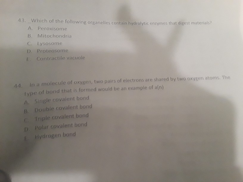 Solved Ich Of The Following Organelles Contain Hydrolytic | Chegg.com Solved Ich Of The Following Organelles Contain Hydrolytic | Chegg.com