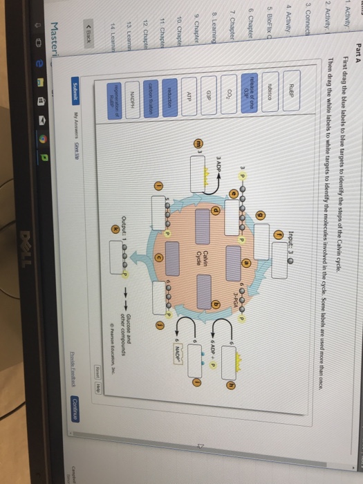 Solved Part A First Drag The Blue Labels To Blue Targets