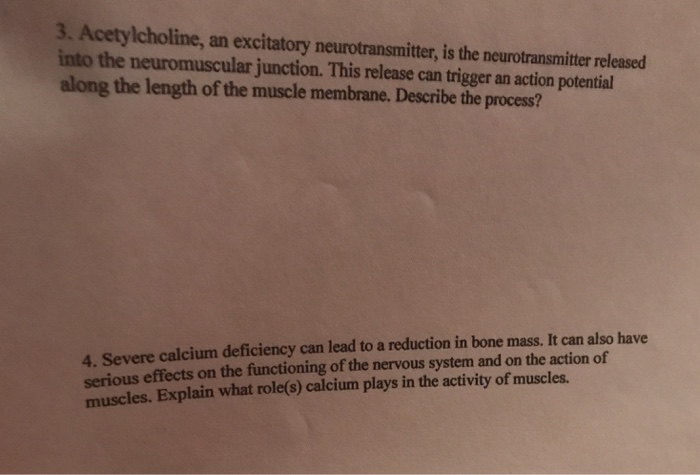 3. Acetylcholine, an excitatory neurotransmitter, is the neurotransmitter released into the neuromuscular junction. This release can trigger an action potential along the length of the muscle membrane. Describe the process? 4. Severe calcium deficiency can lead to a reduction in bone mass. It can also have serious effects on the functioning of the nervous system and on the action of muscles. Explain what role(s) calcium plays in the activity of muscles.