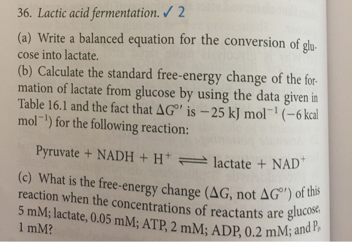 lactic acid fermentation equation