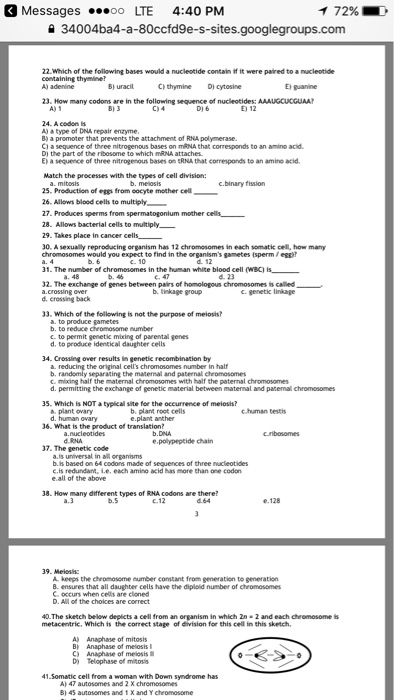 Which Of The Following Bases Would A Nucleotide Chegg Com