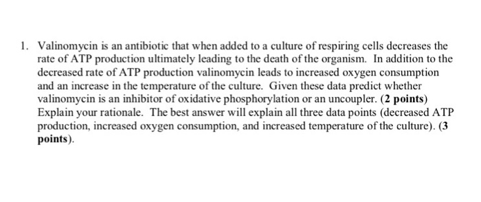 Solved Valinomycin Is An Antibiotic That When Added To A Chegg Com