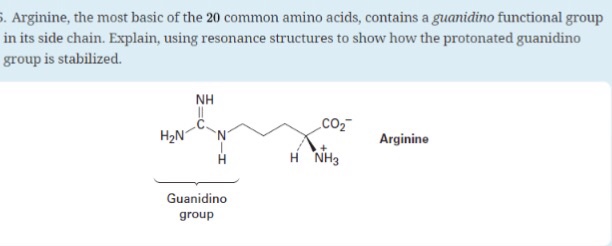 Solved Arginine The Most Basic Of The Common Amino Chegg Com