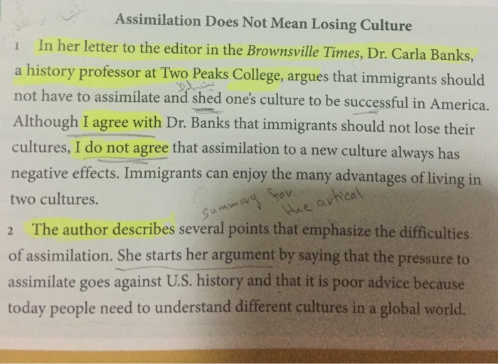 cultural assimilation essay