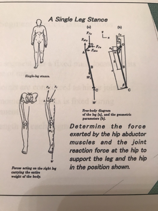 Solved Determine The Force Exerted By The Hip Abductor Mu Chegg Com