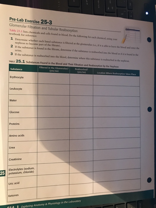 Glomerular filtration and tubular reabsorption