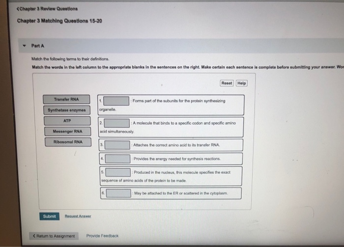 Solved Anatomy And Physiology Question Chegg Com