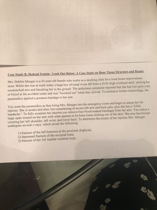 Which anatomical structures in mrs morgan's compact bone house blood vessels picture