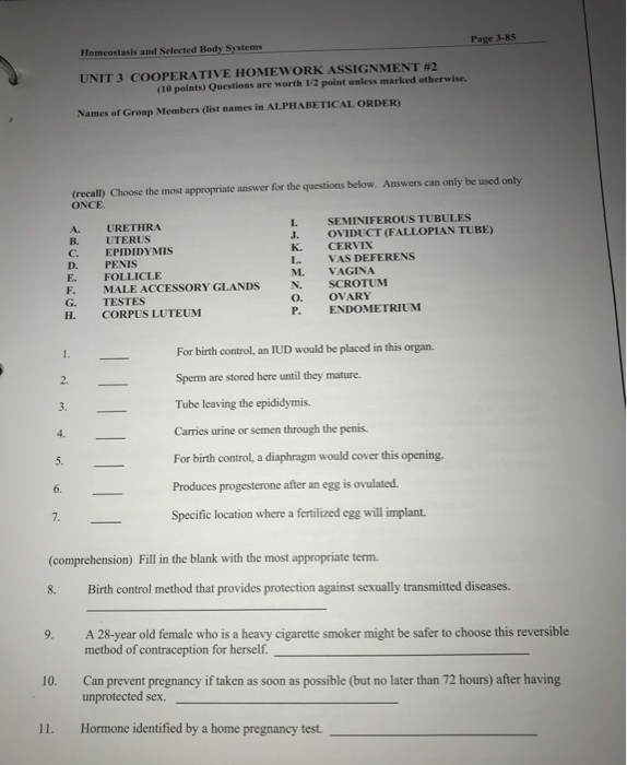 Answer homework questions for free image